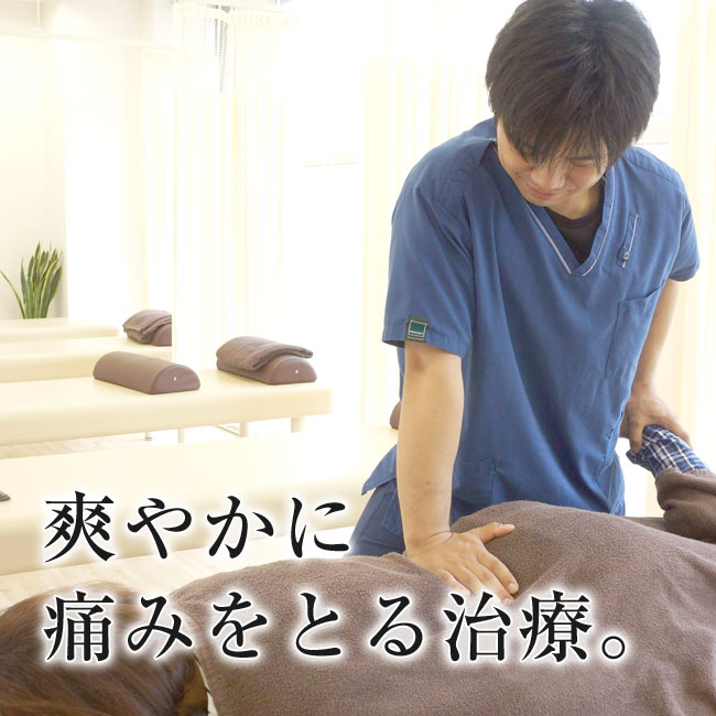 浅草橋ライオンハート鍼灸整骨院|浅草橋駅徒歩1分